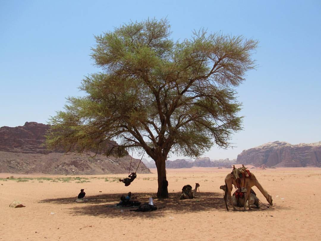 Climbers House In Wadi Rum Extérieur photo